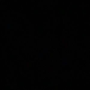 Meet your Posher, Tierra